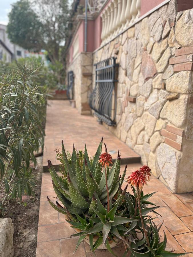 B&B Villa Regina Santa Domenica  Bagian luar foto