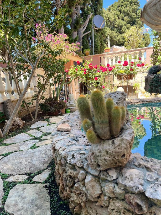 B&B Villa Regina Santa Domenica  Bagian luar foto