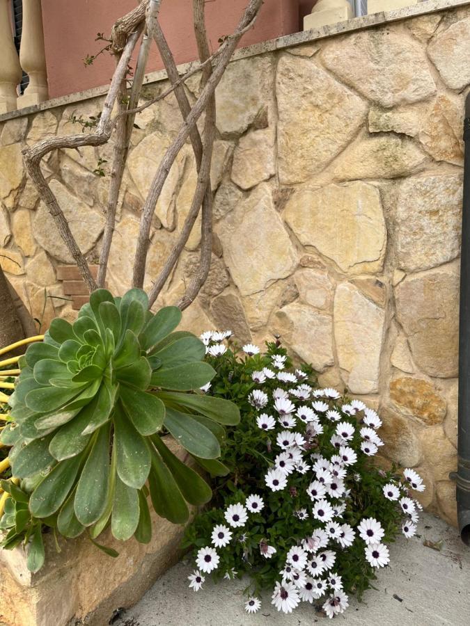 B&B Villa Regina Santa Domenica  Bagian luar foto